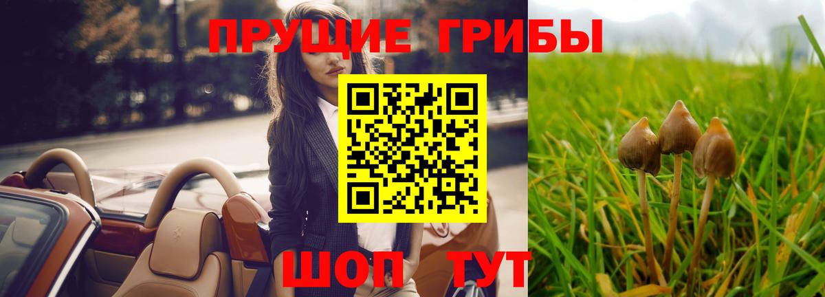 Галлюциногенные грибы Magic Shrooms Севастополь